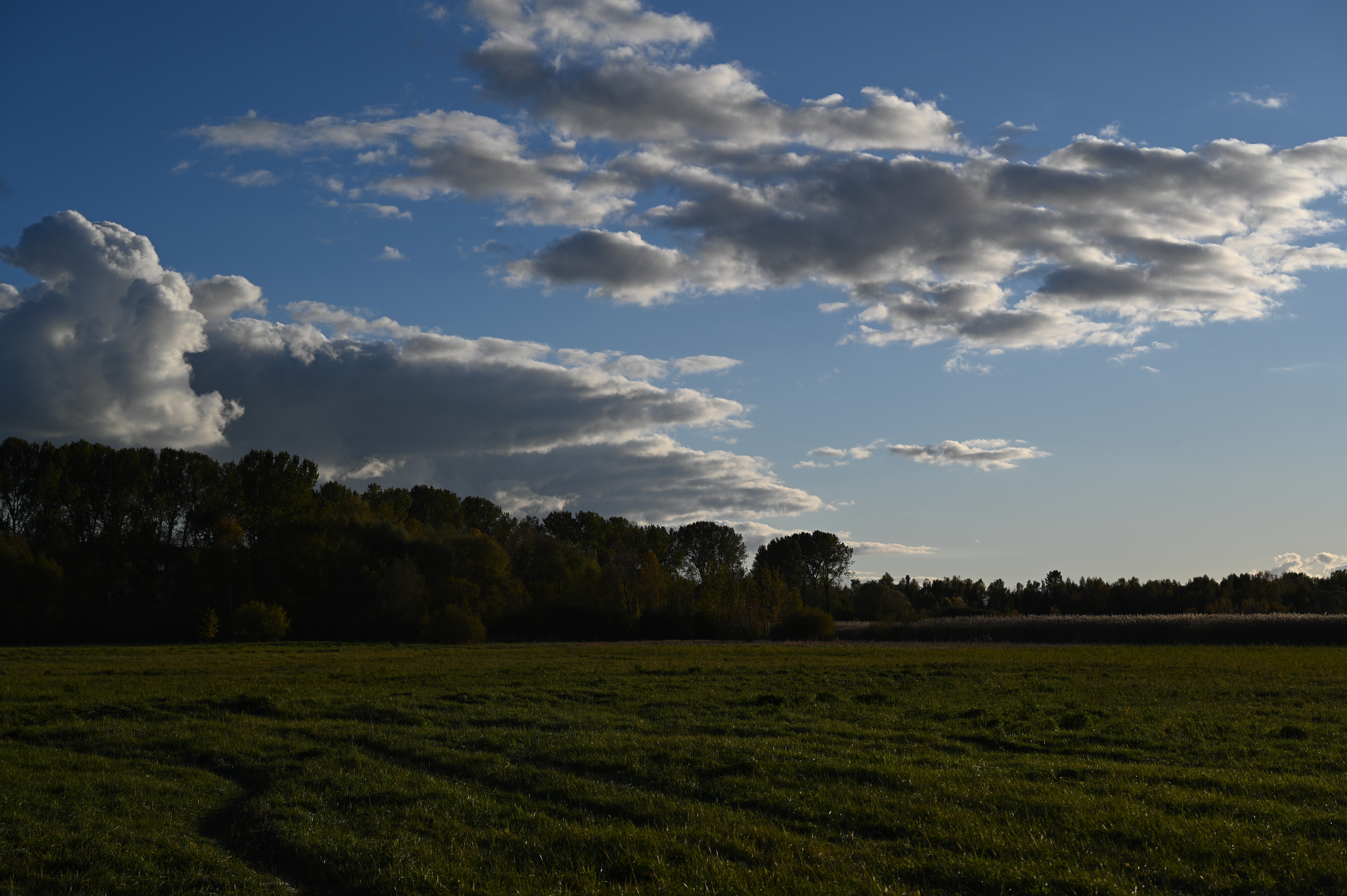 2025/10/18 - walk/DSC_0162.JPG